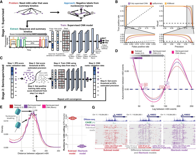 DNA-m6A calling and integrated long-read epigenetic and genetic analysis with i fibertools i