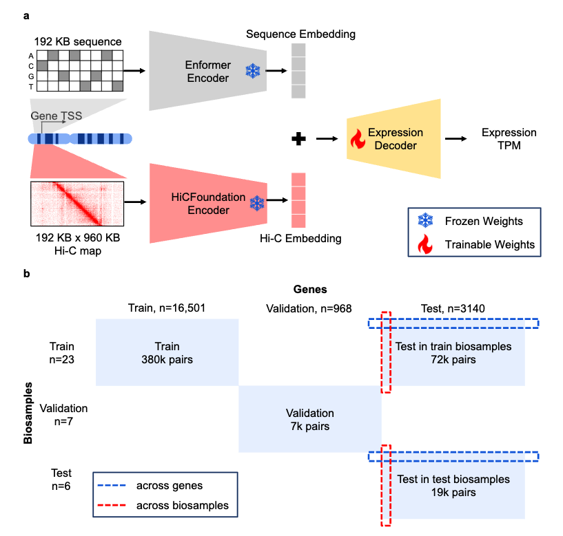 Puget predicts gene expression across cell types using sequence and 3D chromatin organization data