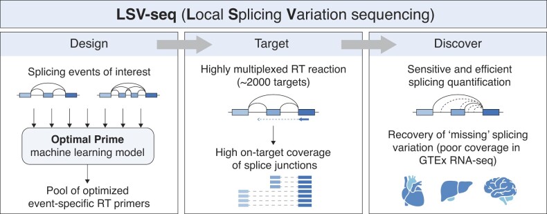 Machine learning-optimized targeted detection of alternative splicing